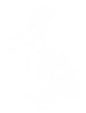 White%20Bird_edited.png